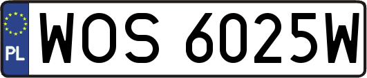 WOS6025W