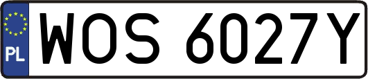 WOS6027Y