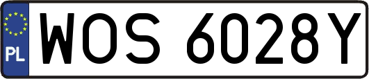 WOS6028Y