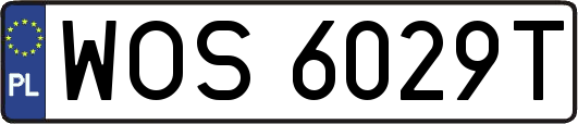 WOS6029T