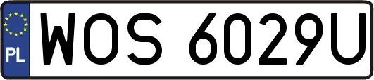 WOS6029U