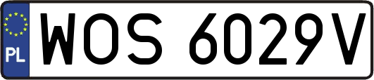 WOS6029V