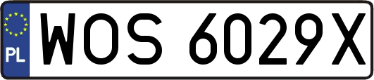 WOS6029X