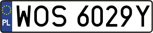 WOS6029Y