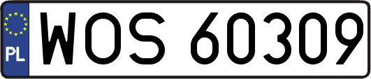 WOS60309