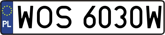 WOS6030W