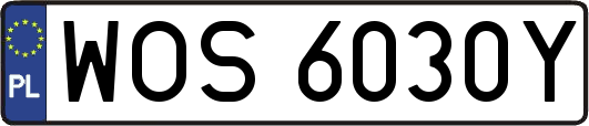 WOS6030Y