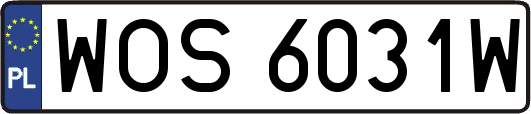 WOS6031W
