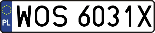 WOS6031X