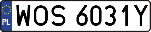 WOS6031Y