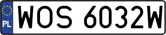 WOS6032W