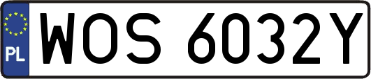 WOS6032Y