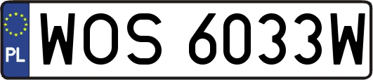 WOS6033W
