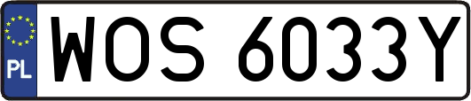 WOS6033Y