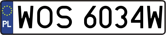 WOS6034W