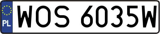 WOS6035W