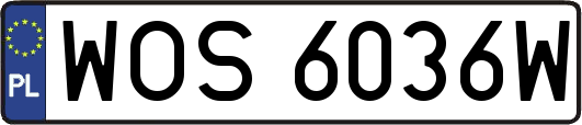 WOS6036W