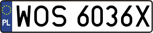 WOS6036X