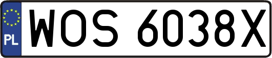 WOS6038X