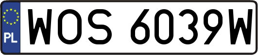 WOS6039W