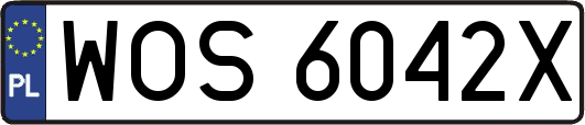 WOS6042X