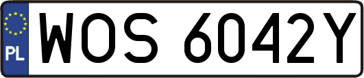 WOS6042Y