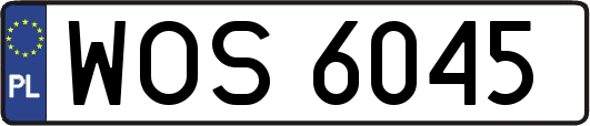 WOS6045