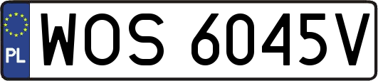 WOS6045V