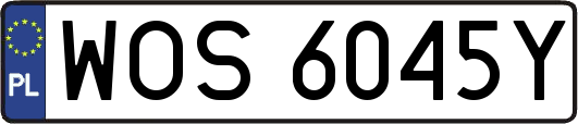 WOS6045Y