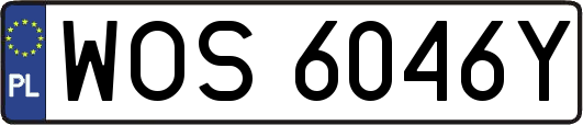 WOS6046Y