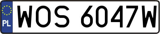 WOS6047W