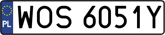 WOS6051Y