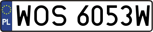 WOS6053W