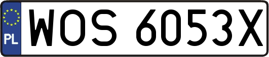 WOS6053X