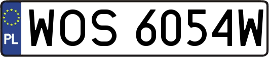 WOS6054W
