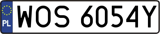 WOS6054Y