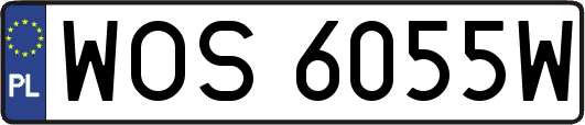 WOS6055W