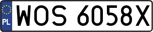 WOS6058X