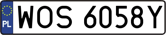 WOS6058Y