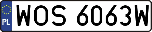WOS6063W