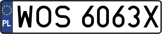 WOS6063X