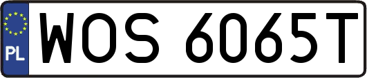 WOS6065T
