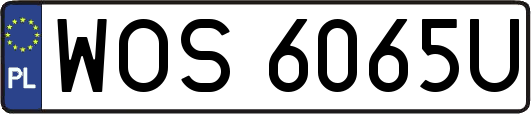 WOS6065U