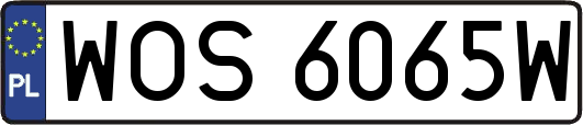 WOS6065W