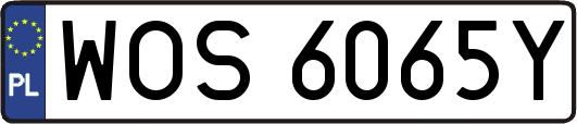 WOS6065Y