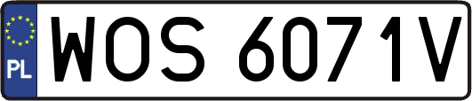 WOS6071V