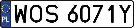 WOS6071Y