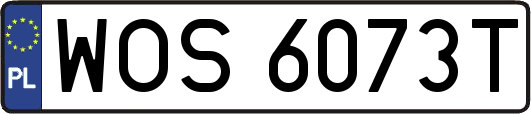 WOS6073T