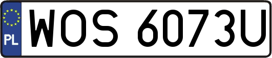 WOS6073U
