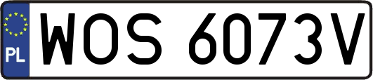 WOS6073V